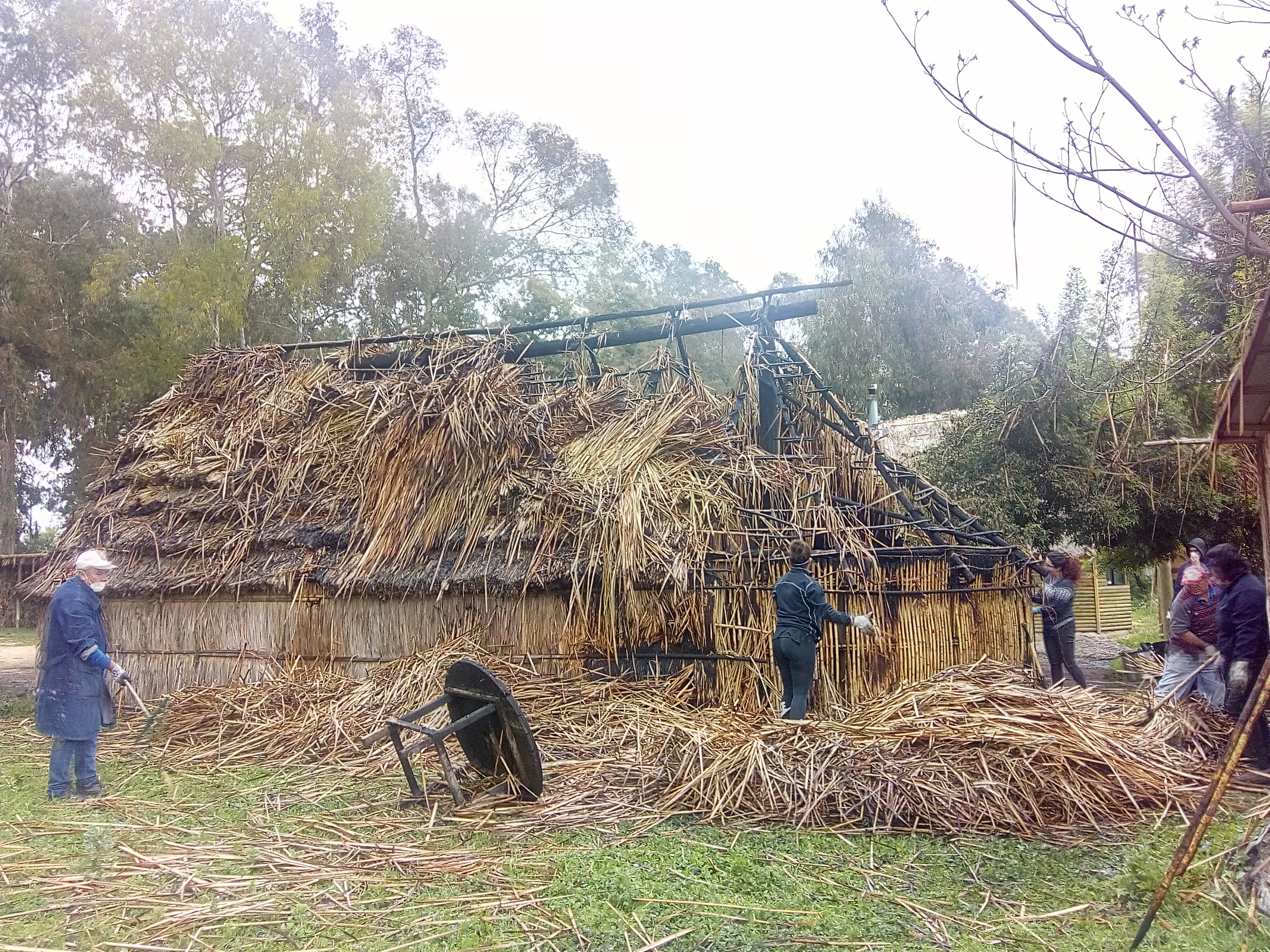 Imagen foto_00000016