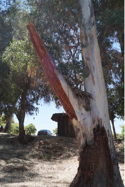 Imagen foto_00000001