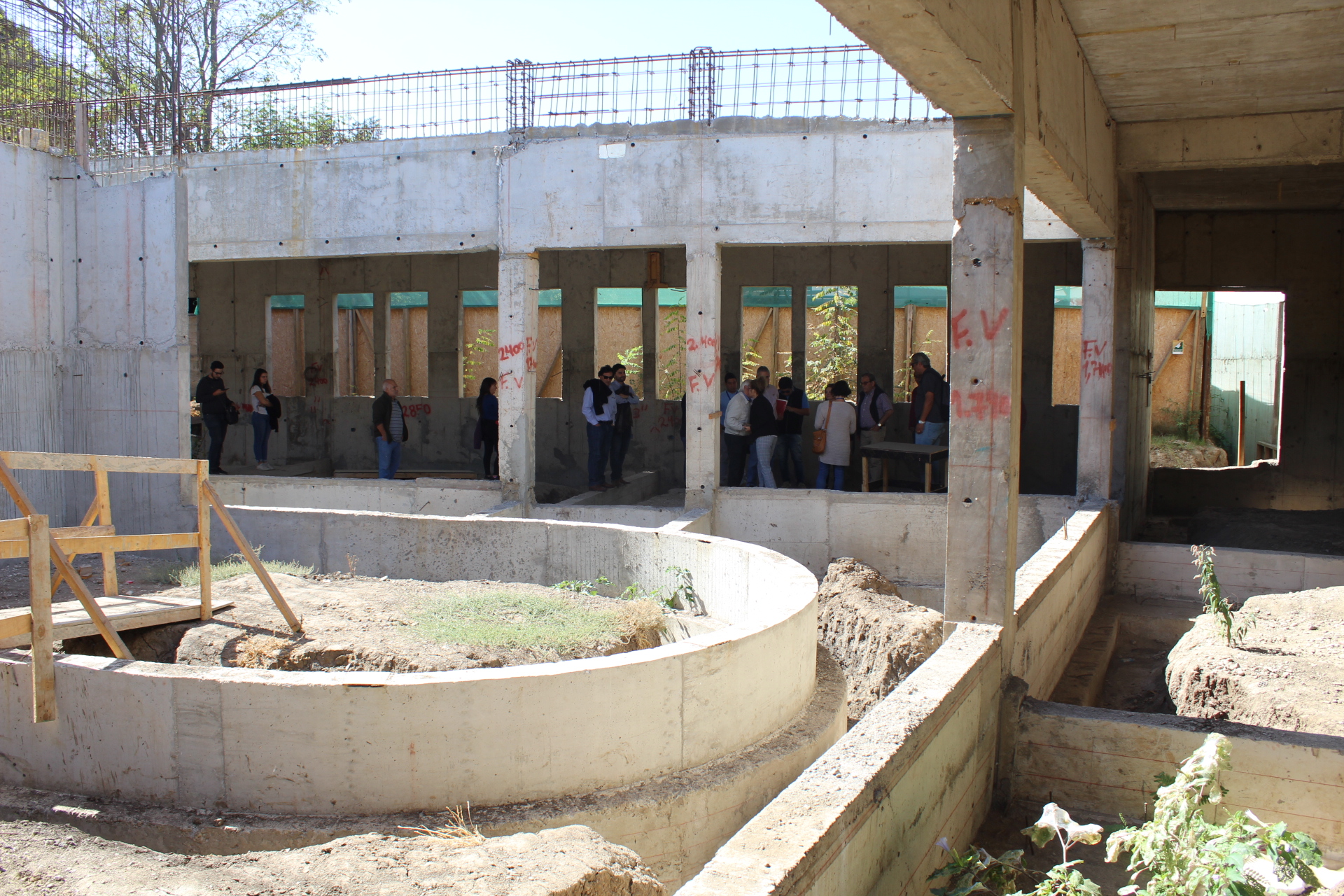 Imagen foto_00000015